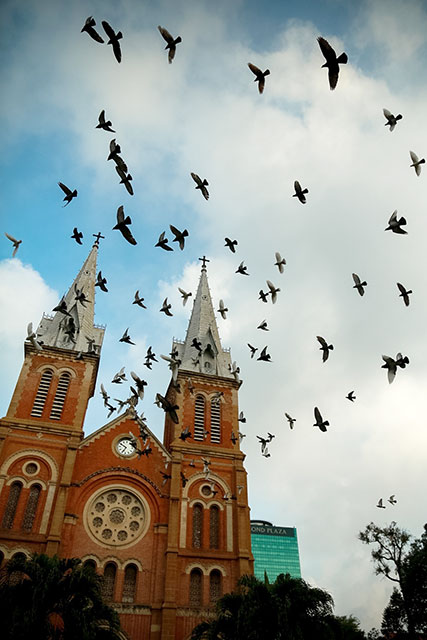 Pigeons flying over Saigon Notre Dame Sillica