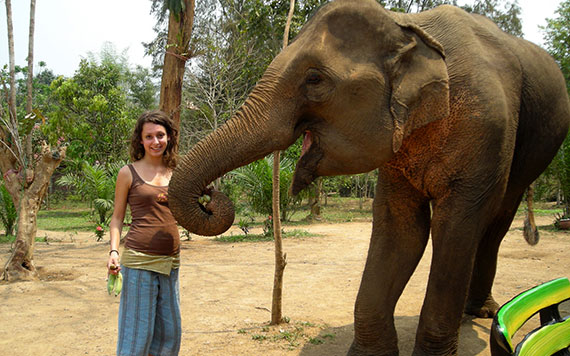 Luang Prabang – Elephant Riding