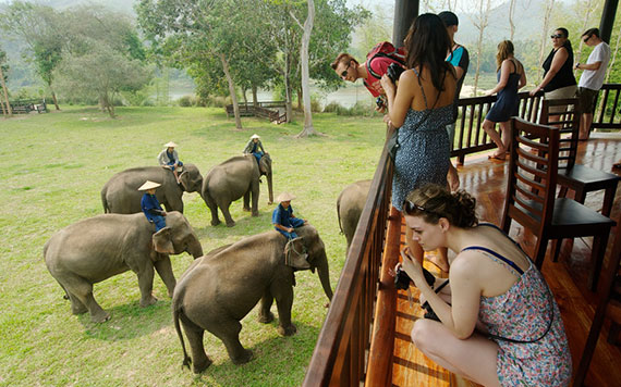 Luang Prabang – Pak Ou Caves – Nam Ou Elephant Farm