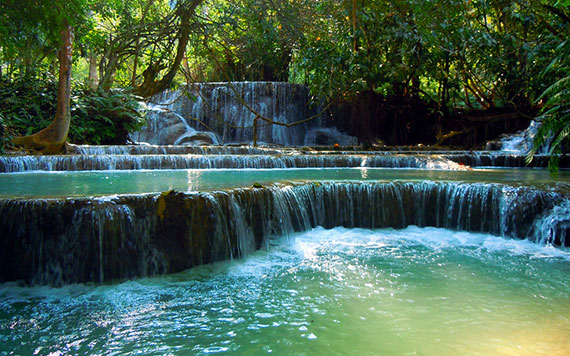 Luang Prabang – Rice Experience – Kuang Si Waterfalls