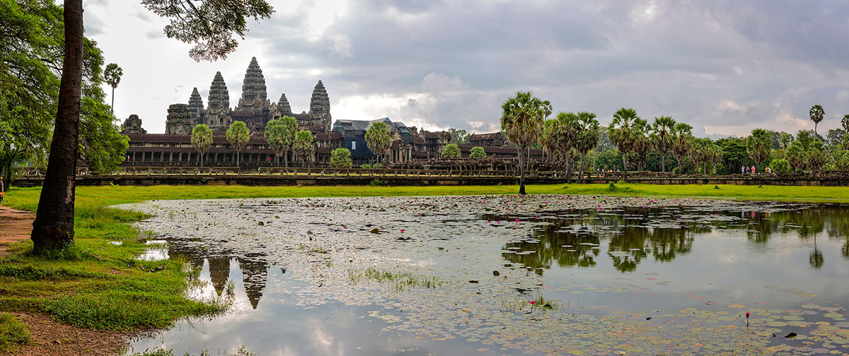 Angkor Wat overview with lyly flower