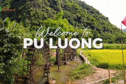 Vietnam DMC’s Insider Guide: Pu Luong Travel