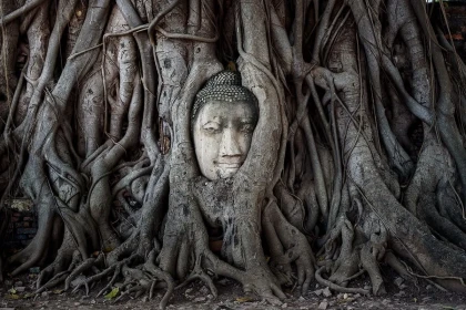 Beyond the Beaches: A DMC’s Guide to Thailand’s Most Important Temples