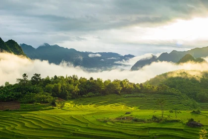 Beyond Halong Bay: Why Pu Luong & Cuc Phuong are the next big thing for travelers in Northern Vietnam? Beyond Halong Bay: Why Pu Luong & Cuc Phuong are the next big thing for travelers in Northern Vietnam?