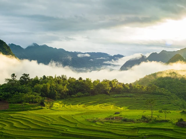 Beyond Halong Bay: Why Pu Luong & Cuc Phuong are the next big thing for travelers in Northern Vietnam?