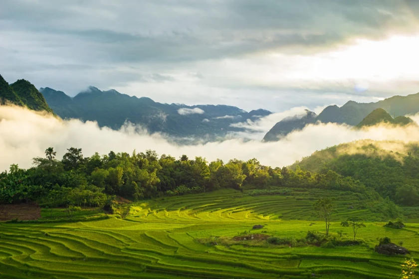 Beyond Halong Bay: Why Pu Luong & Cuc Phuong are the next big thing for travelers in Northern Vietnam?