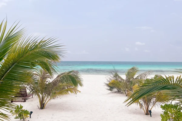 Discover Koh Rong, the untouched beach in Cambodia