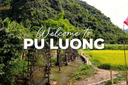 Vietnam DMC’s Insider Guide: Pu Luong Travel